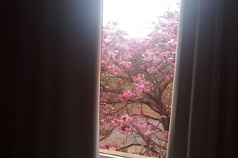 Vista p/parque, perto de tudo. Apto inteiro (loft)